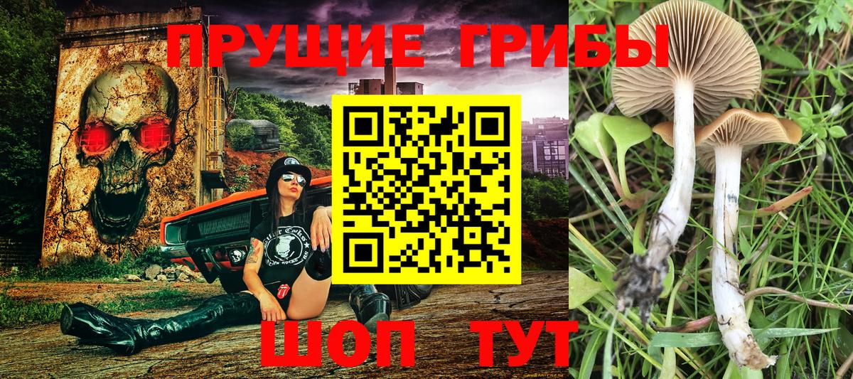 Галлюциногенные грибы Magic Shrooms  Вход с VPN  Галлюциногенные грибы Cubensis  Ленинск-Кузнецкий 
